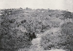 Vue des ruines à Sarda, Alexandre Degrand, 1890